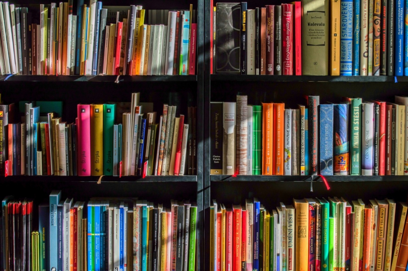 magasin-ST MARTIN D ENTRAUNES-min_books_bookstore_book_reading_shop_writer_sale_books_read-822866