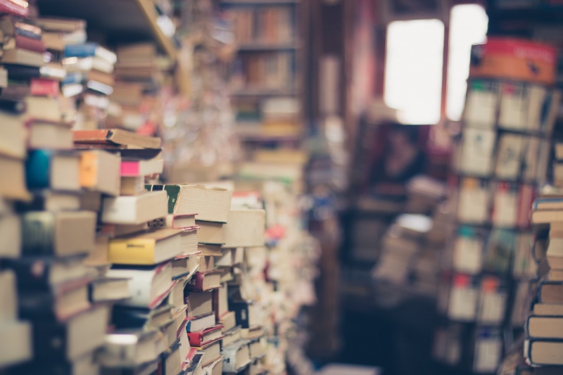 magasin-ST MARTIN D ENTRAUNES-min_books_stack_book_store_stack_of_books_2nd_hand_retro_hipster_shop-829090